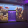 Проекционный дизайн "Виртуальная реальность" безлимитный комплект 1200 анимаций - «globural.ru» - Сургут