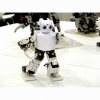 Человекоподобный робот Robotis mini (darwin-mini) - «globural.ru» - Сургут