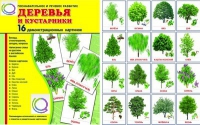 Демонстрационные карточки "Деревья и кустарники" - «globural.ru» - Сургут