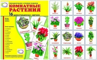 Демонстрационные карточки "Комнатные растения" - «globural.ru» - Сургут