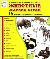 Демонстрационные карточки "Животные жарких стран" - «globural.ru» - Сургут