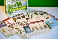 Гербарий к курсу основ общей биологии - «globural.ru» - Сургут
