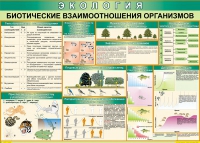 Таблица Биотические взаимоотношения организмов 1000*700 (винил) - «globural.ru» - Сургут