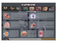 Стенд "Курение" (вариант 1) - «globural.ru» - Сургут