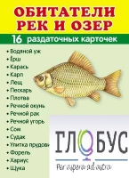 Раздаточные карточки "Обитатели рек и озер" - «globural.ru» - Сургут