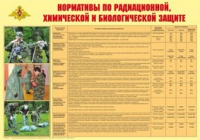 Плакат "Нормативы по радиационной, химической и биологической защите" - «globural.ru» - Сургут