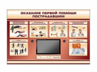 Многофункциональный интерактивный стенд-тренажер "Оказание первой помощи пострадавшим" для учащихся общеобразовательных учреждений - «globural.ru» - Сургут
