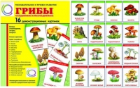 Демонстрационные карточки  "Грибы съедобные и не съедобные" - «globural.ru» - Сургут