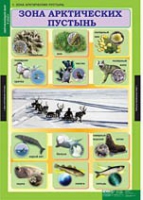 Окружающий мир 4 класс (комплект таблиц) - «globural.ru» - Сургут