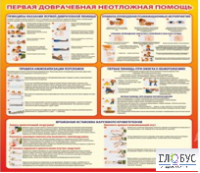 Стенд "Первая доврачебная неотложная помощь" - «globural.ru» - Сургут