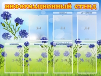 Стенд информационный с 7 карманами - «globural.ru» - Сургут