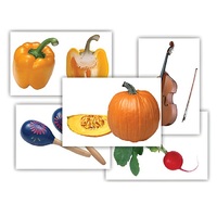 Набор предметных картинок "Овощи. Музыкальные инструменты" - «globural.ru» - Сургут