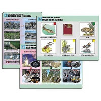 Комплект таблиц для  начальной школы "Окружающий мир. Экология" - «globural.ru» - Сургут