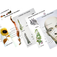 Таблицы по природоведению 1-3 класс - «globural.ru» - Сургут