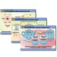 Комплект таблиц для начальной школы "Русский язык. Орфография" - «globural.ru» - Сургут