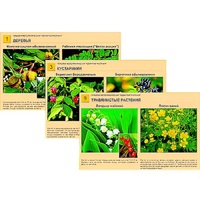 Гербарий фотографический "Ядовитые растения" - «globural.ru» - Сургут