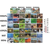 Фенологические наблюдения - «globural.ru» - Сургут