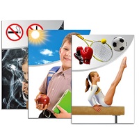 Модель-аппликация "Здоровье человека" - «globural.ru» - Сургут