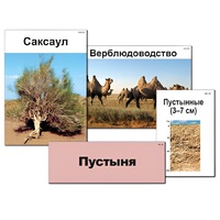 Модель-аппликация "Природные зоны России" - «globural.ru» - Сургут