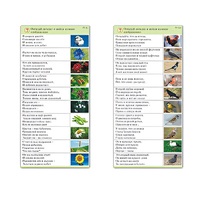 Комплект карточек (10) "Обучающий калейдоскоп. Природа" - «globural.ru» - Сургут