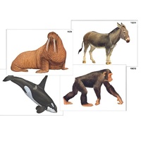 Модель-аппликация "Разнообразие высших хордовых 2. Млекопитающие" (ламинированная) - «globural.ru» - Сургут