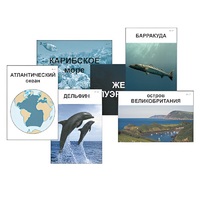 Модель-аппликация "Океаны. Знакомство" (ламинированная) - «globural.ru» - Сургут