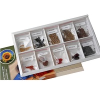 Коллекция "Плоды сельскохозяйственных растений" (вариант 2) - «globural.ru» - Сургут