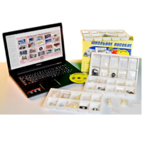 Коллекция натурально-интерактивная "Пластмассы" - «globural.ru» - Сургут