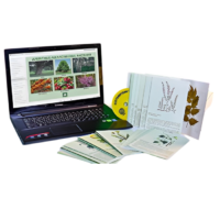 Гербарий натурально-интерактивный "Лекарственные растения" - «globural.ru» - Сургут