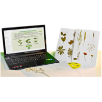 Гербарий натурально-интерактивный "Морфология растений" - «globural.ru» - Сургут