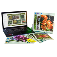 Гербарий натурально-интерактивный "Основные группы растений. Грибы. Лишайники" - «globural.ru» - Сургут