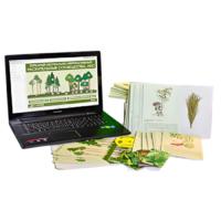 Гербарий натурально-интерактивный "Растительные сообщества. Лес" - «globural.ru» - Сургут