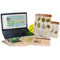 Гербарий натурально-интерактивный к курсу основ общей биологии - «globural.ru» - Сургут