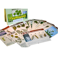 Гербарий к курсу основ общей биологии - «globural.ru» - Сургут