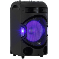 Переносная мобильная акустическая система с возможностью подключения микрофона и проигрывания аудиофайлов с флеш-накопителя мощностью не менее 250 Вт - «globural.ru» - Сургут