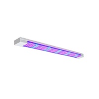 Фитолампа - «globural.ru» - Сургут