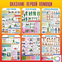 Стенд "Оказание первой помощи" - «globural.ru» - Сургут