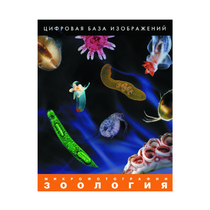Зоология. Микрофотографии. (Цифровая база изображений) - «globural.ru» - Сургут