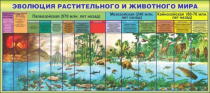 Стенд "Эволюция растительного и животного мира" - «globural.ru» - Сургут