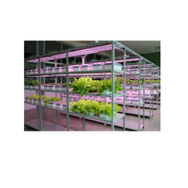 Обучающий комплект "АГРОкласс" - «globural.ru» - Сургут