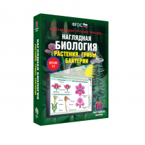 Наглядная биология. Растения. Грибы. Бактерии - «globural.ru» - Сургут