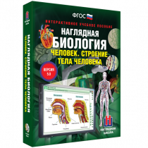 Наглядная биология. Человек. Строение тела человека - «globural.ru» - Сургут