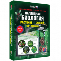 Наглядная биология. Растение - живой организм - «globural.ru» - Сургут