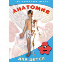 DVD  Анатомия для детей - «globural.ru» - Сургут