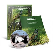 Электронное наглядное пособие «Птицы» - «globural.ru» - Сургут