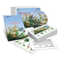Комбинированное наглядное пособие «Растения» - «globural.ru» - Сургут