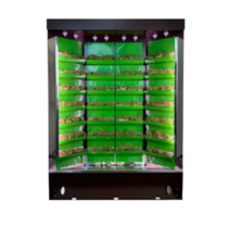 Вертикальная ферма "Моя Микрозелень" комплектация "Театро настольная" - «globural.ru» - Сургут