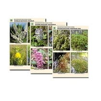 Комплект таблиц по ботанике раздаточных"Многообразие растений. Лесные и луговые" (16 штук, формат А4, лам) - «globural.ru» - Сургут