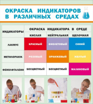 Стенд "Окраска индикаторов в различных средах" - «globural.ru» - Сургут