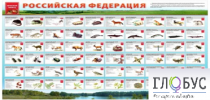 Стенд "Красная книга РФ" - «globural.ru» - Сургут